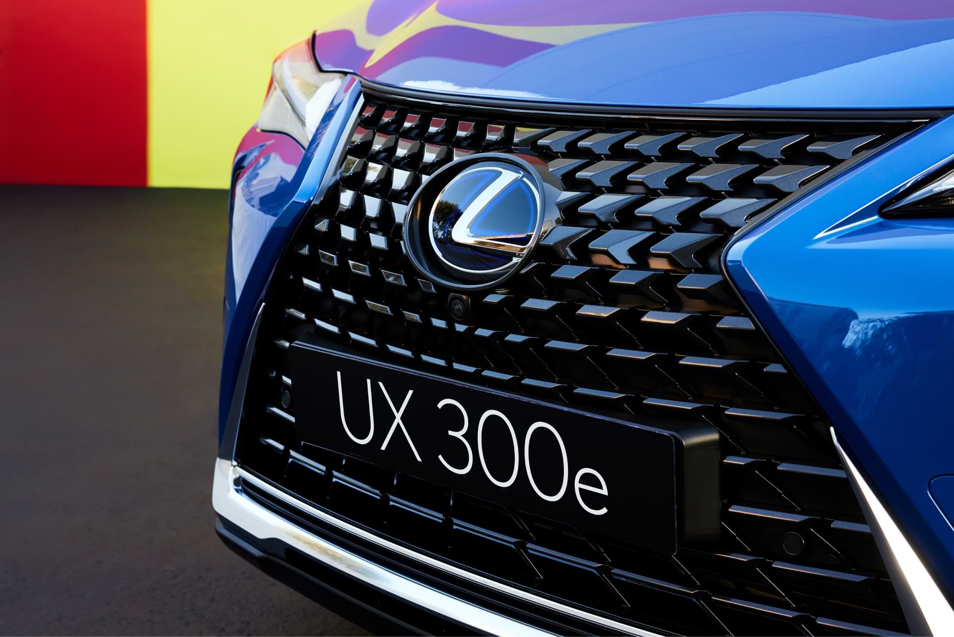The spindle grille and number plate of the blue UX 300e