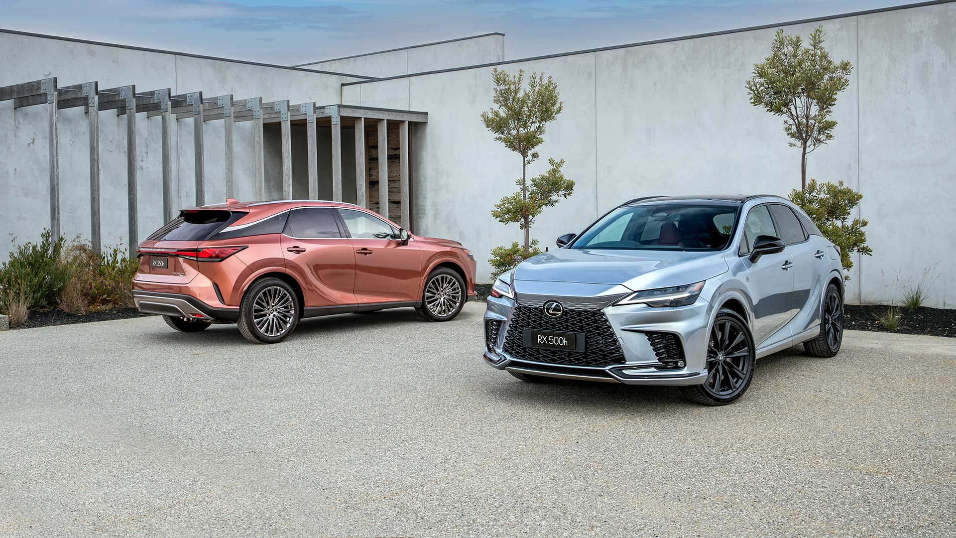 Two Lexus RX 500 vehicles, copper and silver, parked on a gravel driveway in front of two trees